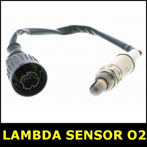 Lambda sensor before - before, cat