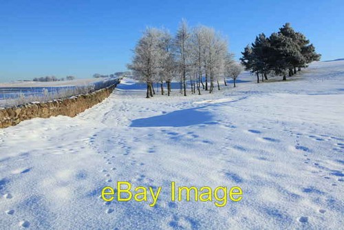 Photo 6x4 turnhouse golf - photo,