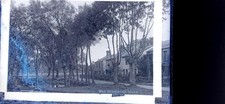 GLASS NEGATIVE OLD BUCKENHAM