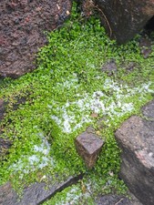 Mind your own business