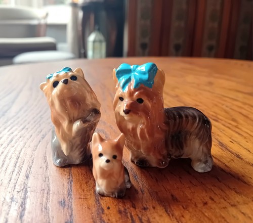 Trio vintage yorkshire terrier - trio,