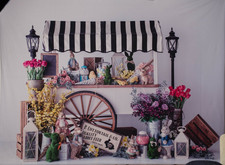 Easter Photography fabric backdrop 10*8 - Fancy Fabric