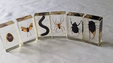 National Geographic Real Life Bugs In Resin x 6 insects #24