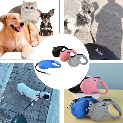 Retractable dog lead extending - lead,