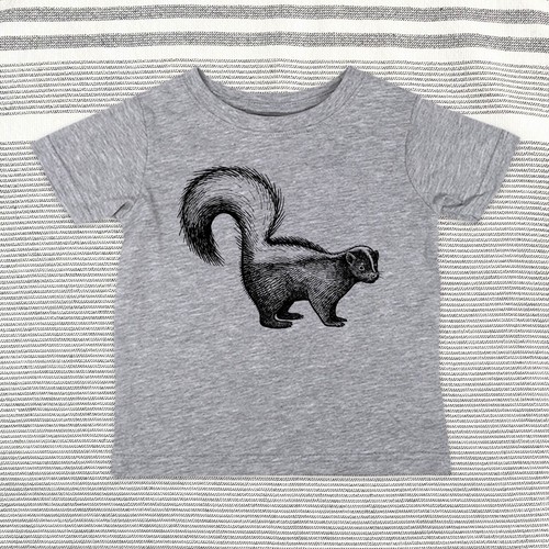 Skunk zoo animal baby - skunk,