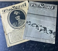 Pair of Vintage Collectible