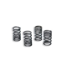 Malossi HRD ENDURO 50 2009-2012 Reinforced Clutch Spring Kit