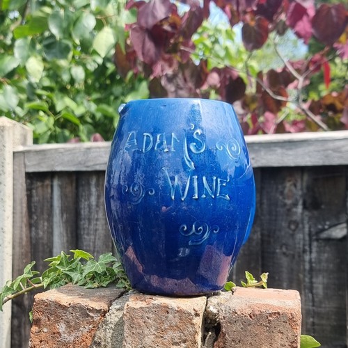 Cobalt blue adam s - cobalt,