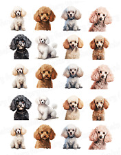 Poodle Dog Cake Topper Party