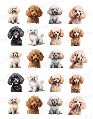 Poodle dog cake topper party - dog,