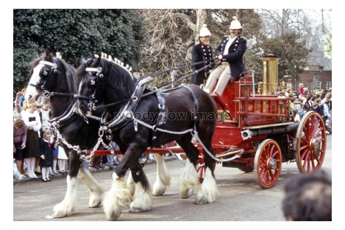 Rs1834 early horse - early, drawn