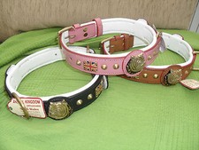 OUR NEW-LEATHER PADDED COLLAR