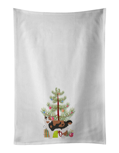 New cymric cat christmas - cymric,