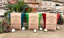 1pot Sow Many seeds Christmas