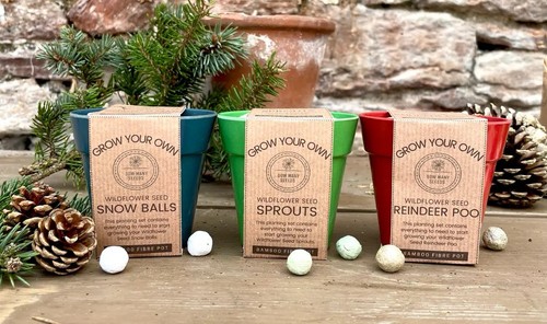 1pot sow many seeds - 1pot,
