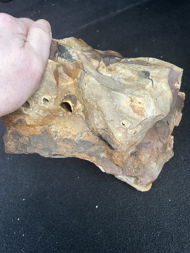 Biggs picture jasper - lb,