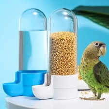 Automatic Bird Water Feeder