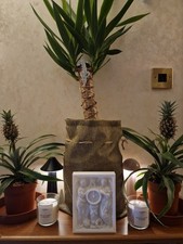 Titanic Honor And Glory Clock