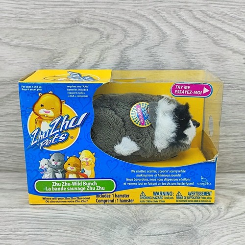Rocco zhu pets hamster - zhu,