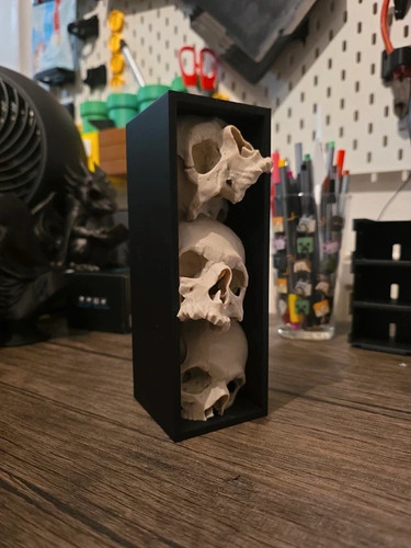 Skull pile book nook - skull,