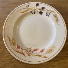 RARE Staffordshire Churchill