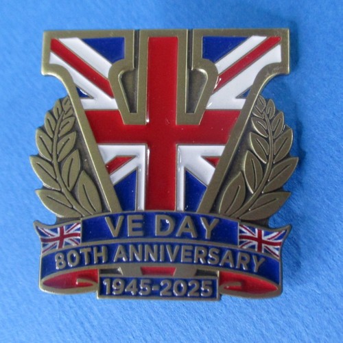 Enamel badge lapel pin - pin, 80th