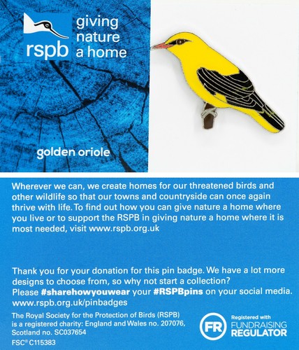 Rspb pin badge gnah golden - pin,
