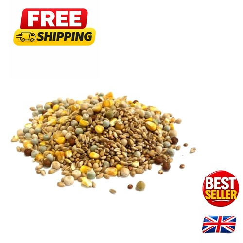 5kg high protein mixed pigeon - protein,