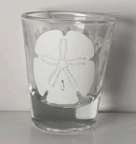 Sand dollar shot glass - sand,