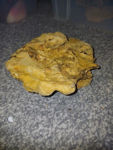 Fish tank aquarium - , rock