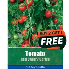 Vegetable Seeds Tomato Red
