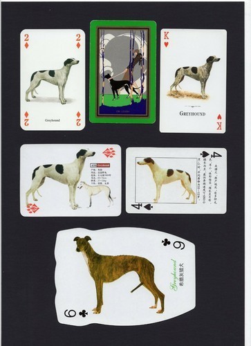Greyhound mounted set vintage - mounted,