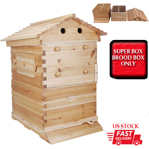 Wooden auto bee hive box - bee,