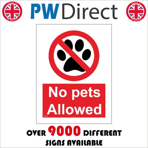 Sign pets allowed rental - no,