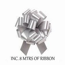 SILVER  WEDDING CAR RIBBON &