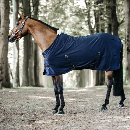 Kentucky horsewear cotton - horsewear,