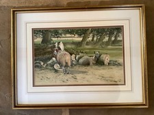 Watercolour painting Neil