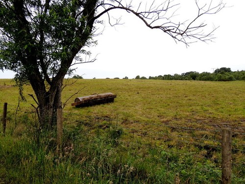 Photo 6x4 roller field - photo,
