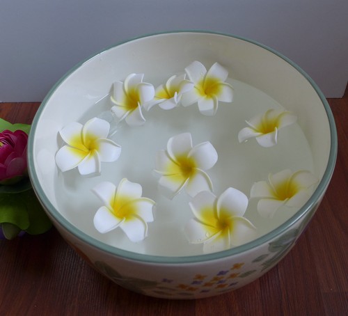 Pieces artificial foam - 50,