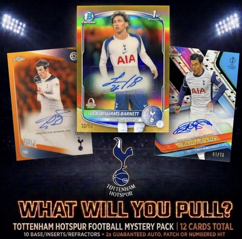 Tottenham hotspur football - tottenham,