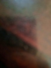 VAUXHALL ASTRA/ZAFIRA GSI ENGINE INJECTOR WIRING LOOM HARNESS Z20LET 2002