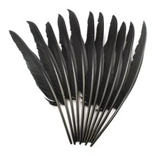 Extra Large Black Goose