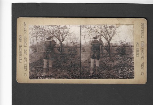 Stereoscope gems card - stereoscope,