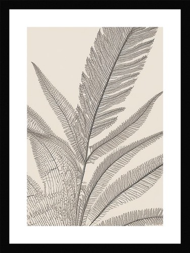 Majestic fern fronds print - fronds,