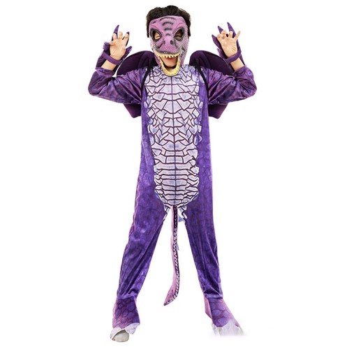 Dinosaurs costume set stage - costume,