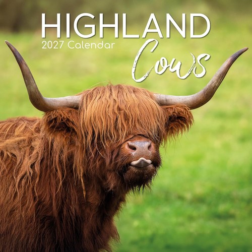 Highland cows x 12 - x, 12"
