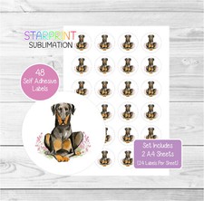 Dobermann (Black)