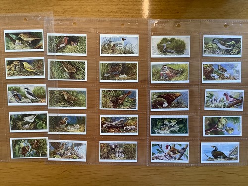 Cigarette cards birds their - cigarette,