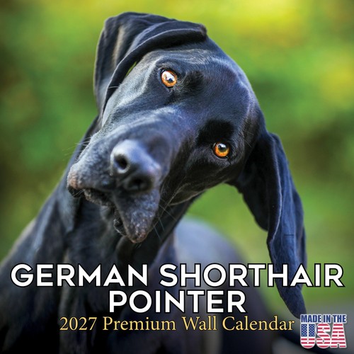 German shorthair pointer - shorthair, 2027