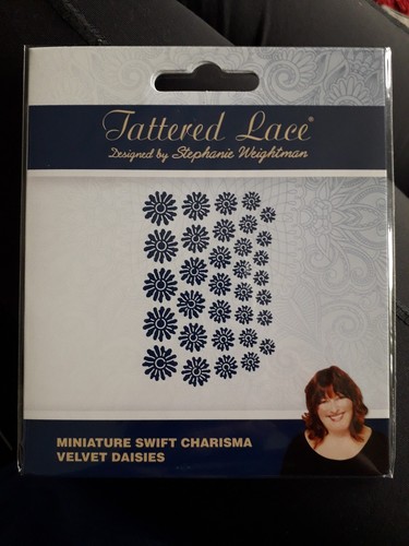 Tattered lace miniature - lace, swift